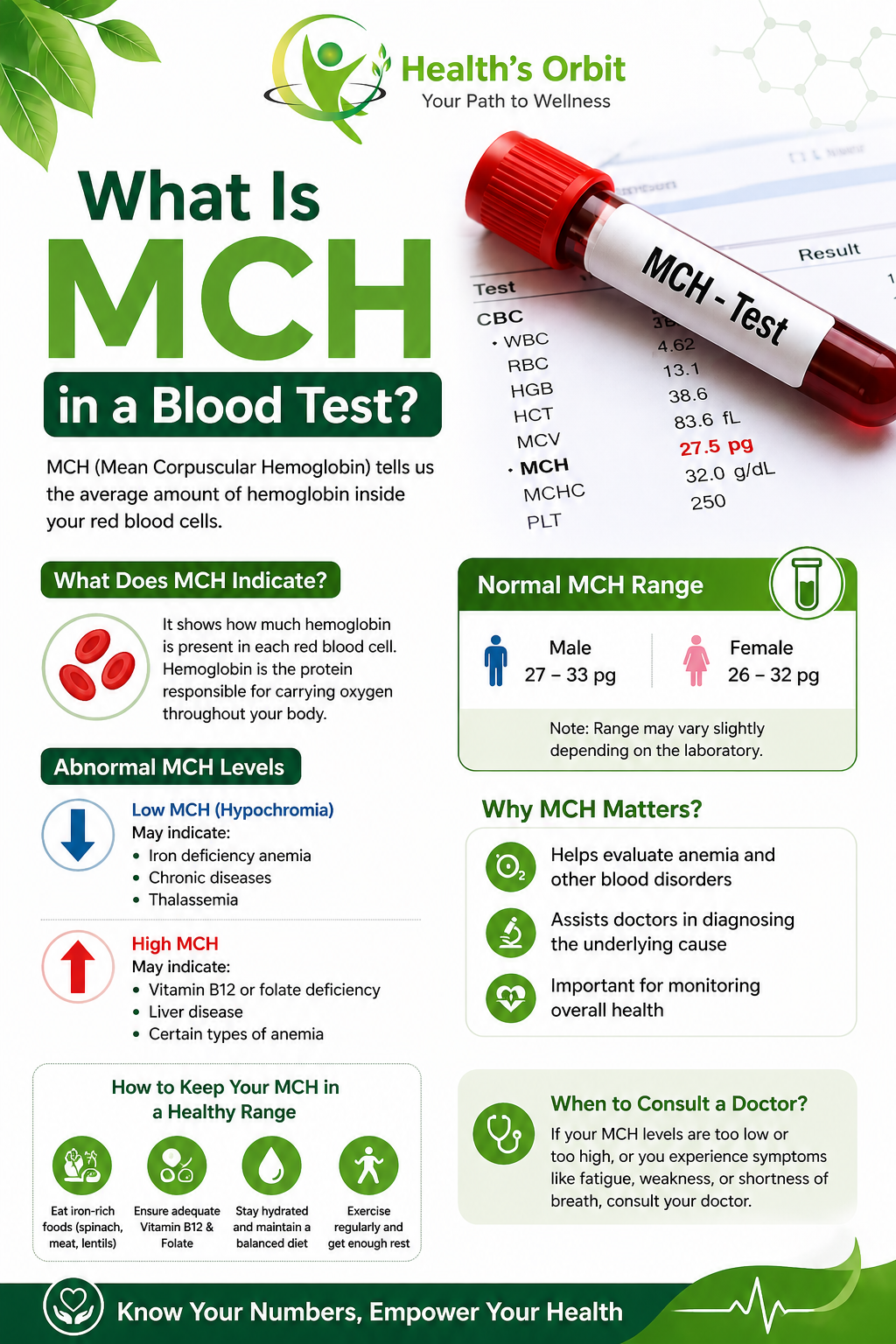 What Is MCH in a Blood Test?