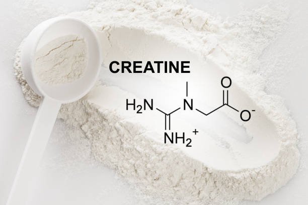 When Is the Best Time to Take Creatine for Results