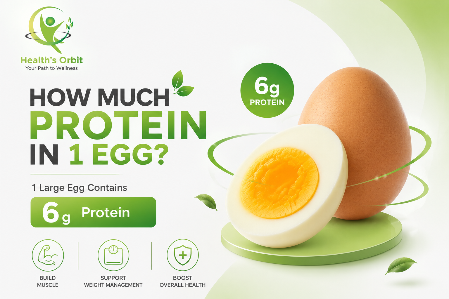 How Much Protein in 1 Egg