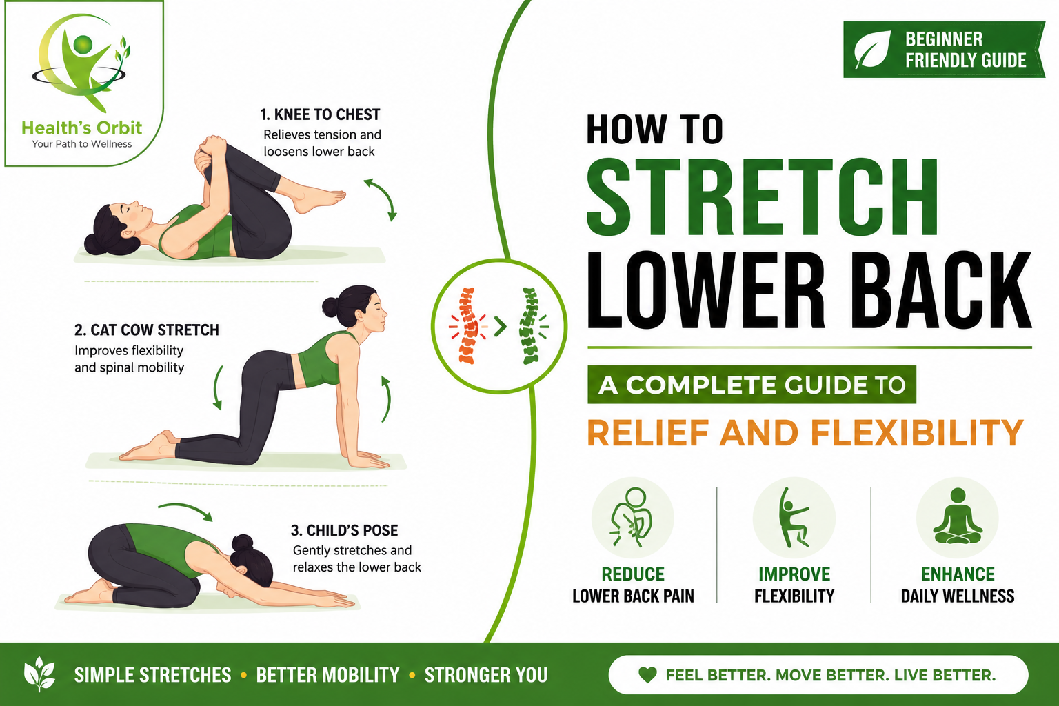How to Stretch Lower Back: Relief Guide